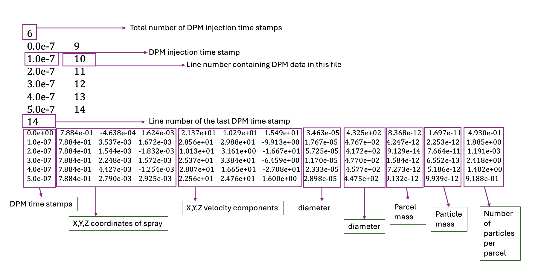 _images/DPMFileFormat.png